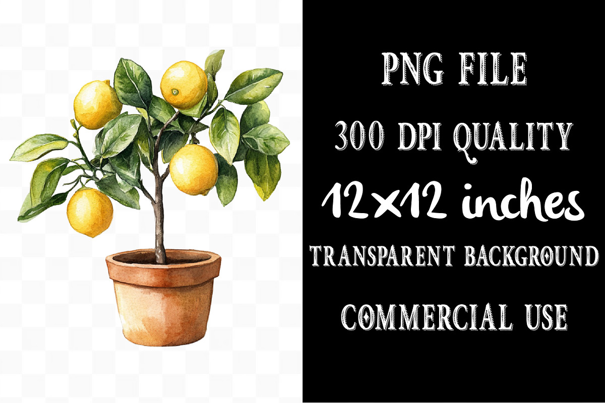 Lemon Watercolor Clipart, an Illustration by Designking (Photo 4 of 5)