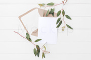 5x7 Invitation Mockup - Eucalyptus 6, a Print Template by ILLONA GRAPHICS (Thumbnail 1 of 5)