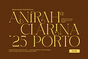 Sanida Elegant Serif Font, a Serif Font by Graphicxell (Thumbnail 2 of 8)