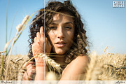 Sunlight Lightroom Presets, an Action Add-On by Preset Perfect (Thumbnail 3 of 4)