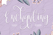 Beautiful Font Bundles Collections, a Script Font by Scratchones (Thumbnail 17 of 24)