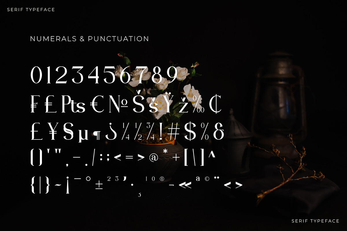 Qristle - Serif Typeface Font, a Serif Font by Rishsketch (Photo 12 of 15)