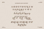 Raillouise Stylish Script Font, a Script Font by Heinzel Std (Thumbnail 15 of 16)