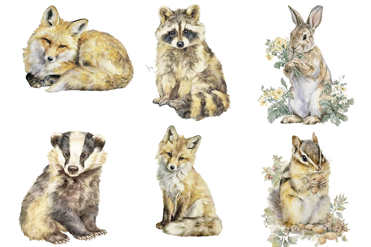 Watercolor Woodland Animals clipart, an Illustration by Designworld (Photo 4 of 5)