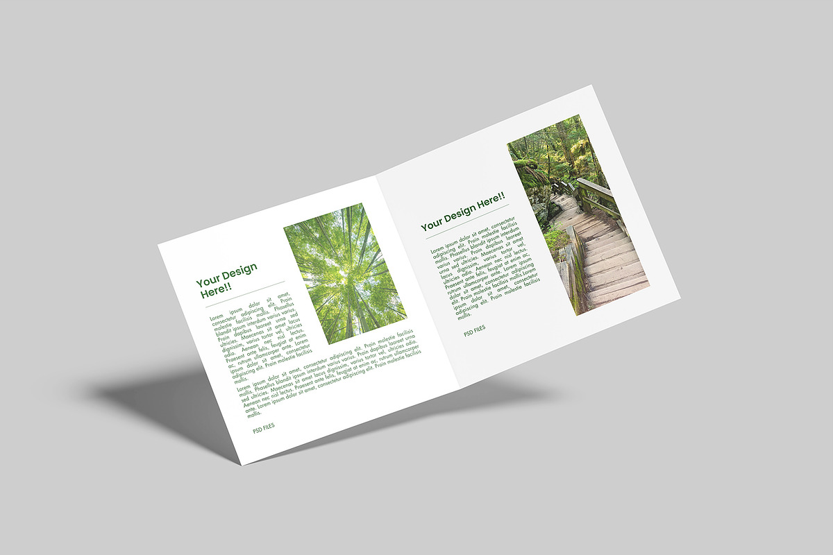Square Bifold Brochure Mockup, a Books & Magazine Mockup by Graphiculon (Photo 6 of 11)