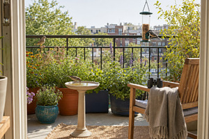 Birdwatching on an urban balcony wit, a Photo by Dvoevnore photos