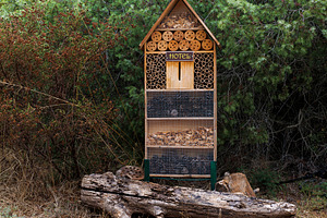 Insect house - hotel in the Kamenjak National Park, Premantura, a Nature Photo by Bepslabor
