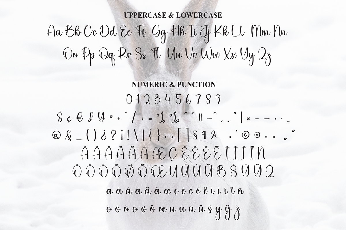 Hello Bunny | Script Font, a Handwritten Font by Scratchones (Photo 7 of 8)