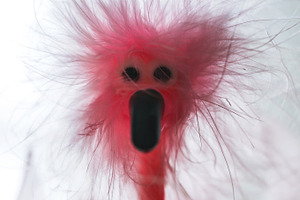 the Stressed Ostrich