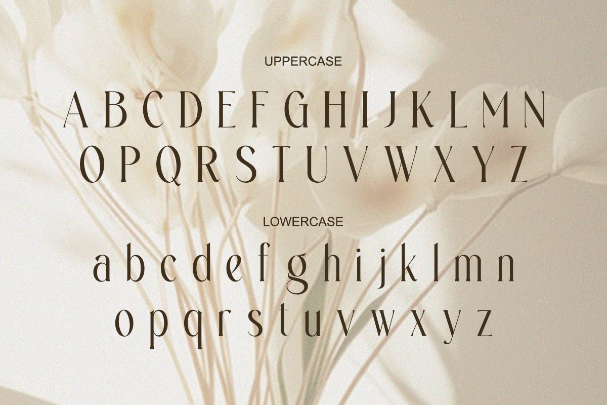Ajessira – Modern Elegant Ligature, a Serif Font by Qweera Studio (Photo 11 of 12)