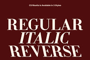 CS Ristara – Classic Serif Font, a Serif Font by Craft Supply Co. (Thumbnail 4 of 8)