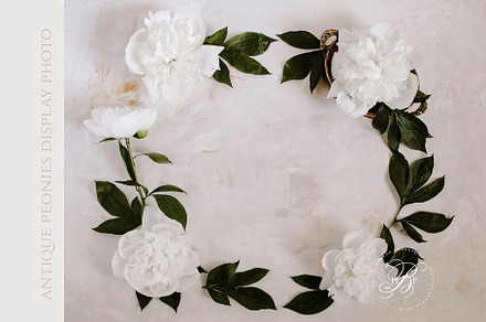 Peonies Display Photo, a Photo by BlueHarborPaperie