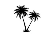 Tropical Palm Tree Bundle, an Illustration by BIPLOB EXPERT (Thumbnail 17 of 21)