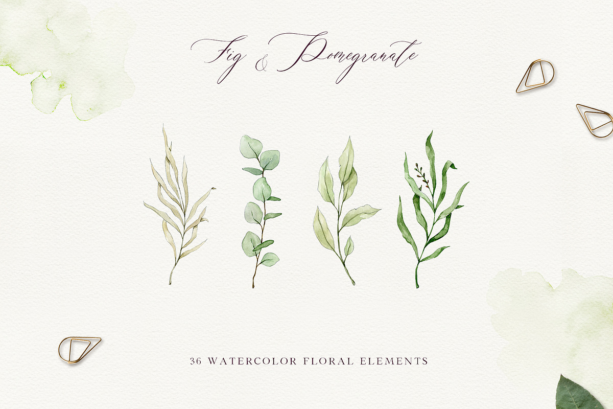 FIG & POMEGRANATE watercolor/pencil, a Decorative Illustration by long summer (Photo 11 of 14)