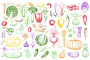 Hand drawn vegetables and fruit, a Decorative Illustration by Ulafant (Thumbnail 18 of 25)