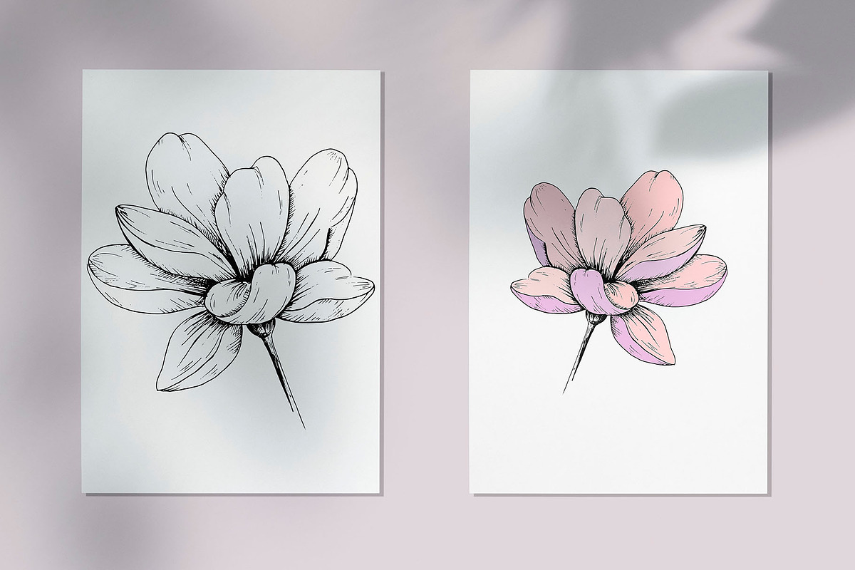 Flower. Line art sketch and patterns, a Decorative Illustration by Canatic (Photo 3 of 7)