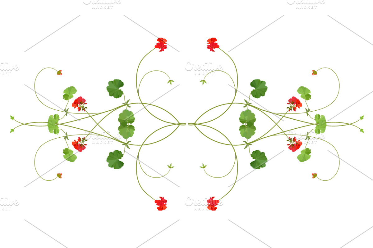 Geranium. Ornamental patterns., a Pattern Graphic by Peolla