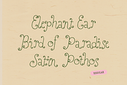 Perfect Sprouts | Whimsical Font, a Handwritten Font by type peace (Thumbnail 16 of 20)