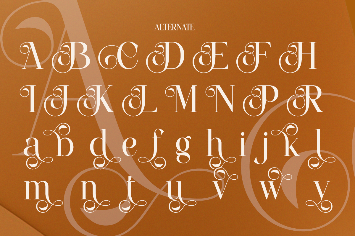 Coalissa - A Minimal Elegant Serif, a Serif Font by Qweera Studio (Photo 9 of 12)