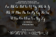 Dream Flourish, a Handwritten Font by InermediaSTUDIO (Thumbnail 4 of 8)