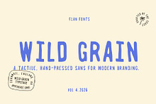 Wild Grain | A Bold Retro Stamp Sans