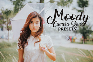 Camera Raw Preset Collection