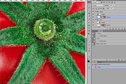 Ribbed tomato above, a Food & Drink Photo by Hortimages (Thumbnail 3 of 3)