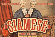 Slabdense, a Font by graphicook (Thumbnail 7 of 10)