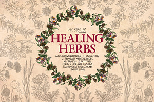 Healing Herbs Botanical Bundle