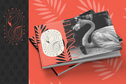 Tropical Logos and Patterns, a Branding & Logo Template by Polar Vectors (Thumbnail 8 of 16)