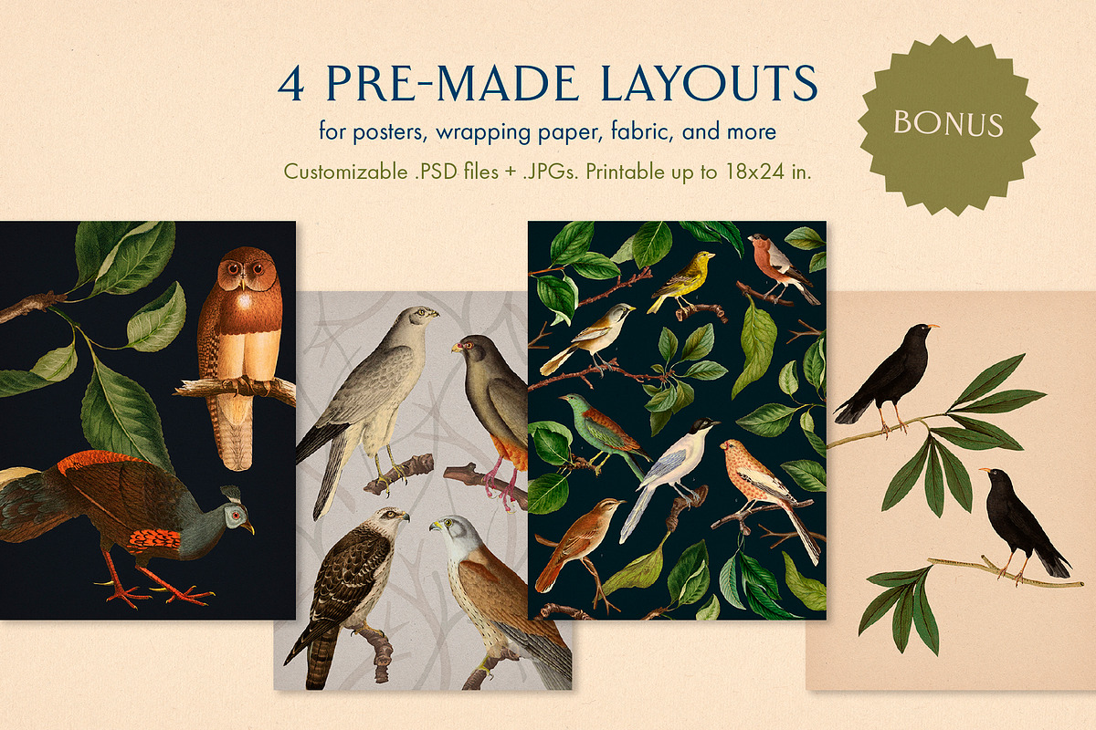 40 Vintage Birds & Branches, an Object Graphic by The Object Atlas (Photo 6 of 9)