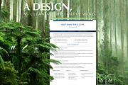 Editable Resume Word, Docs & Pages, a Resume Template by Career Canvas (Thumbnail 2 of 11)