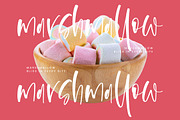 Flesmingo, a Handwritten Font by Integritype Studio (Thumbnail 9 of 15)