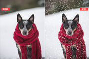 Soft Snowfall Photoshop Action, an Action Add-On by Design Forest (Thumbnail 9 of 10)