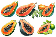 Watercolor Papaya Fruit Clipart, an Illustration by Designworld (Thumbnail 2 of 6)