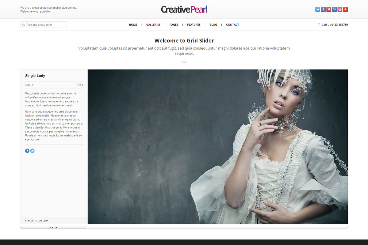 CreativePearl - Photography WP Theme, a WordPress Template by weblion (Photo 7 of 23)