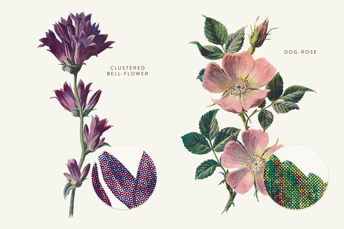 Vintage Flowers Vol.01 - Extra Large, an Illustration by Greta Ivy (Photo 11 of 18)