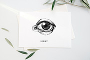 Five Human Senses Vintage Collection, an Object Illustration by Chewie Co (Thumbnail 4 of 8)