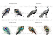 Peacock Clipart, Peacock Feather PNG, an Animal Illustration by BrushstrokeArtGB (Thumbnail 3 of 9)