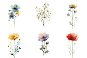 Watercolor Delicate Wildflower Clipa, an Illustration by DreamCafeArt (Thumbnail 4 of 7)