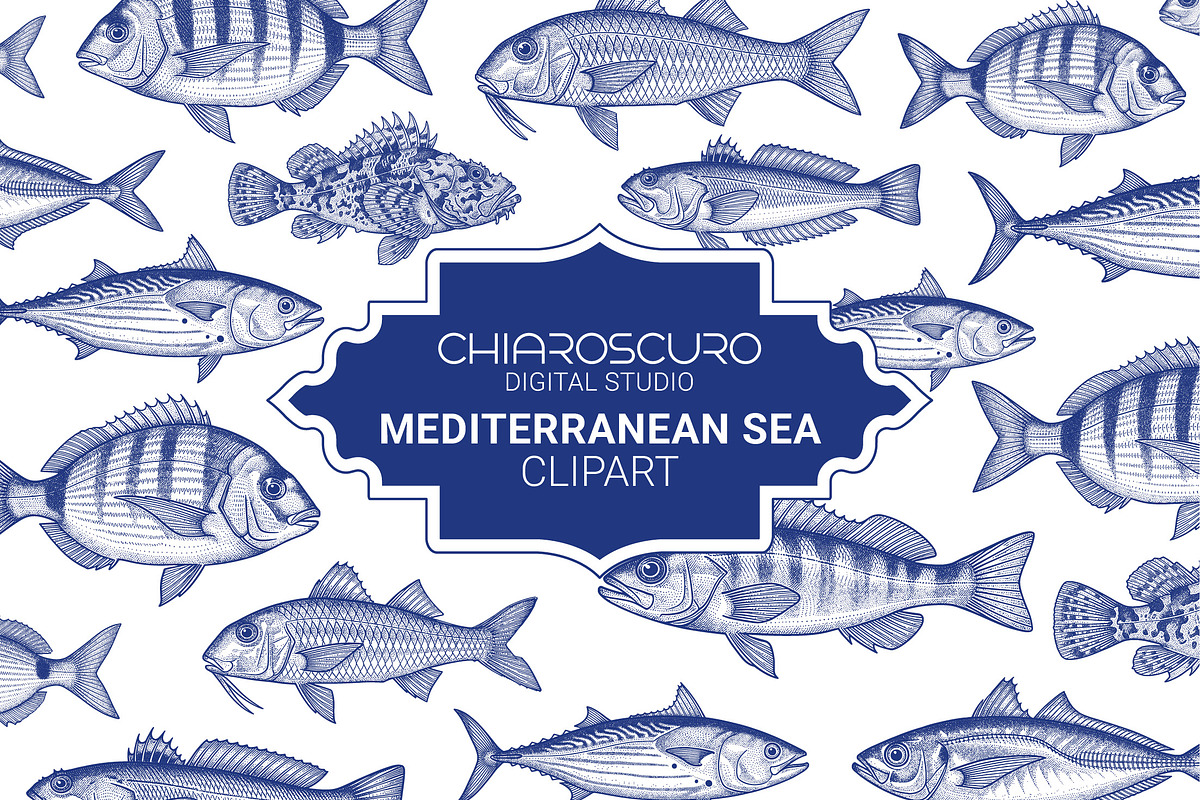 Mediterranean Sea Vector Clipart Set, an Animal Illustration by Pingebat (Photo 1 of 15)