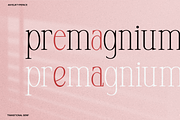 Anyelir Display - Condensed Serif, a Serif Font by Magnolitype (Thumbnail 14 of 21)