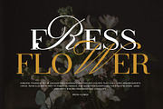 Back Home Serif and Calligraphy Font, a Serif Font by Graphicxell (Thumbnail 7 of 8)