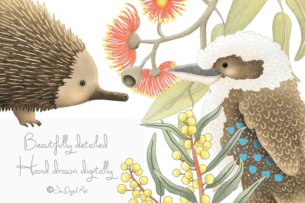 Australian Animals Collection, an Animal Illustration by Jen Digital Art (Photo 6 of 9)