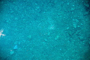 Blue water surface in a lake with a stone bottom, an Abstract Photo by Davizro's Market