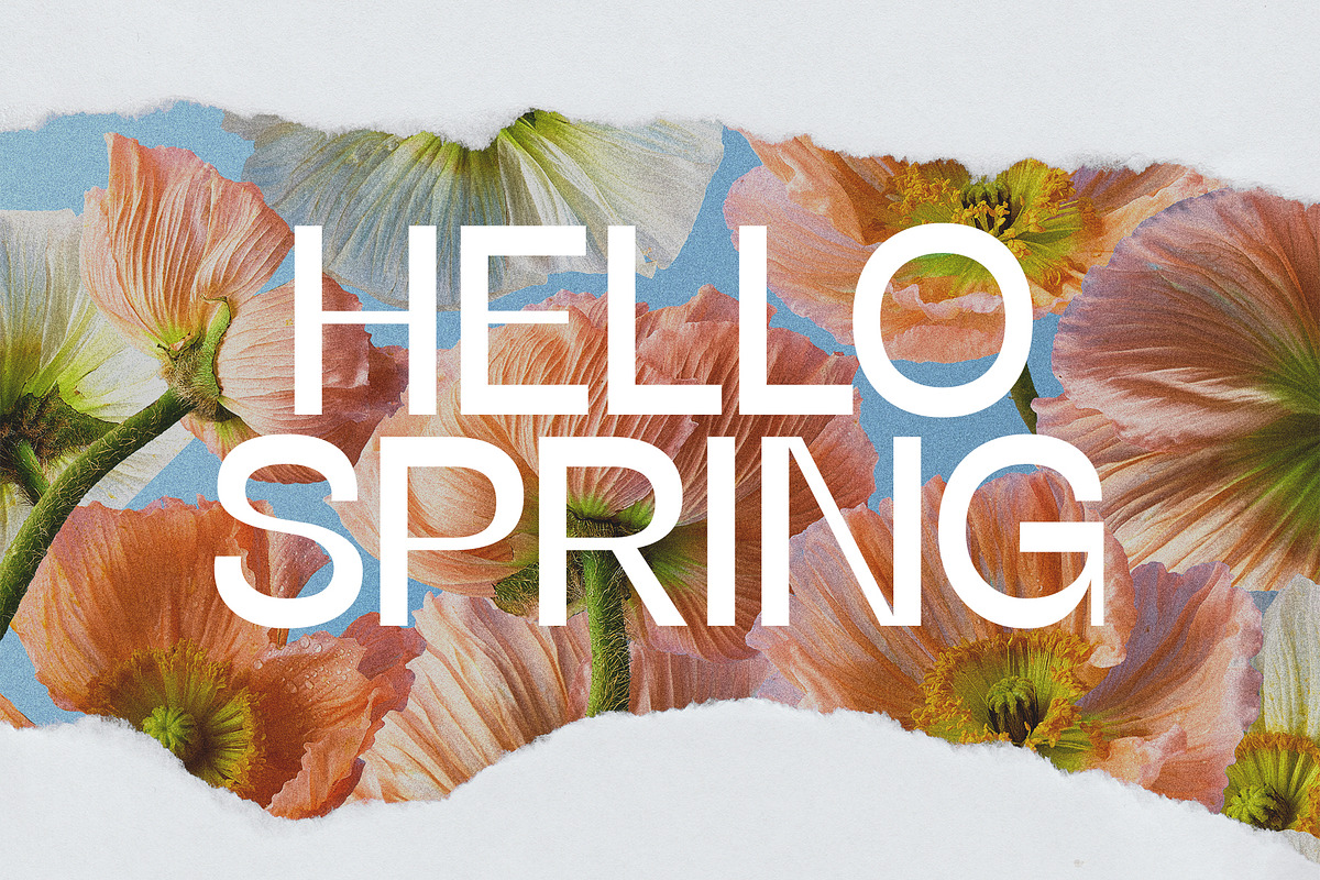 Better Place - Contrast serif font, a Sans Serif Font by BilberryCreates (Photo 3 of 14)