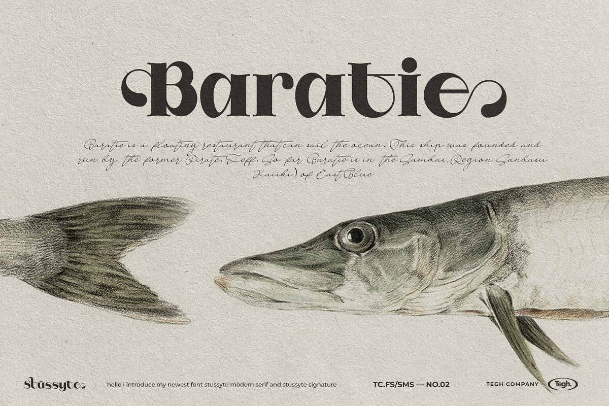 Stussyte Font Duo, a Serif Font by Tegh co. (Photo 10 of 15)