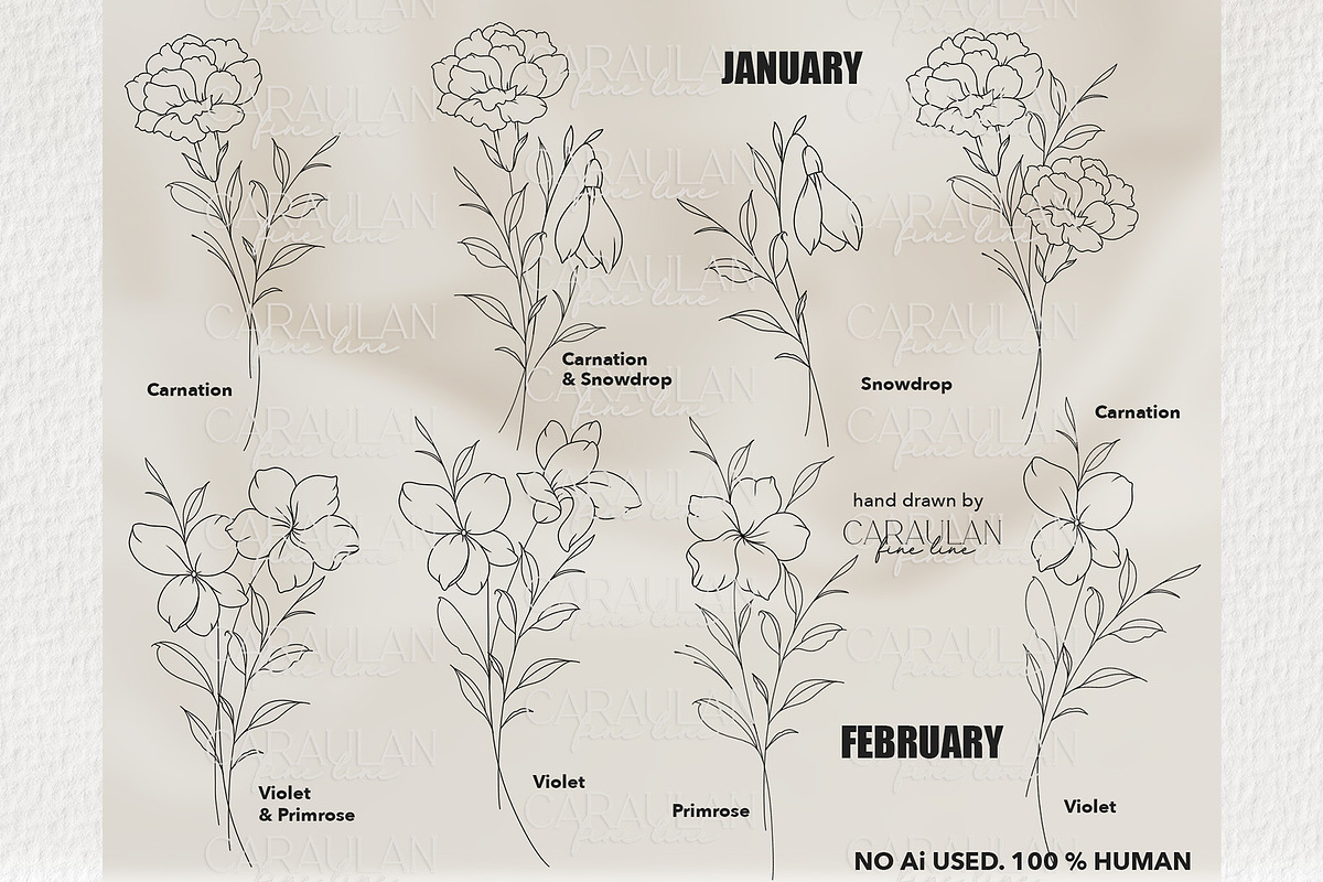 Birth Flowers Outline Stamps, a Brush Add-On by CaraulanStore (Photo 2 of 9)