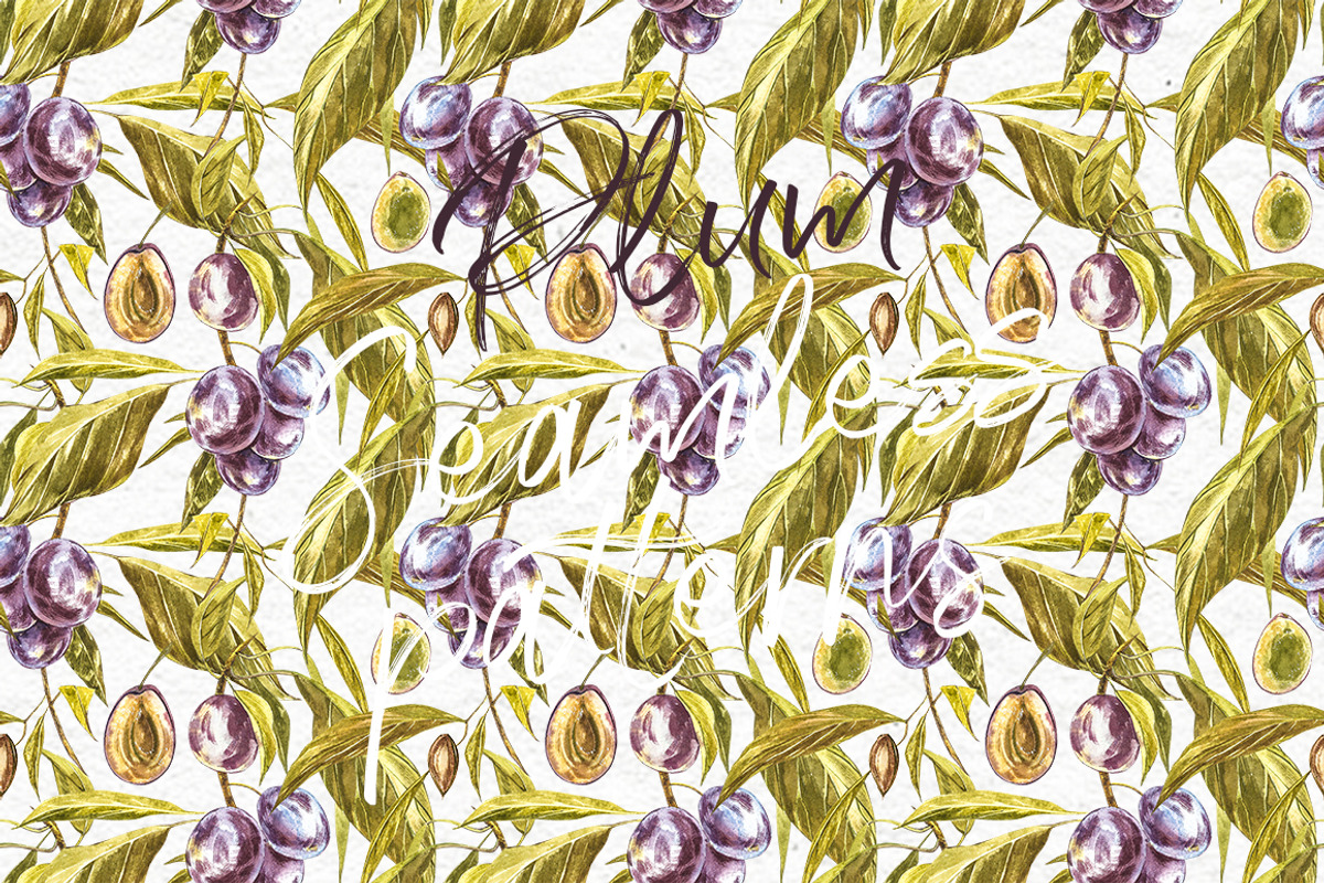 Plum in botanical style, a Food Illustration by Ann Astro (Photo 10 of 11)