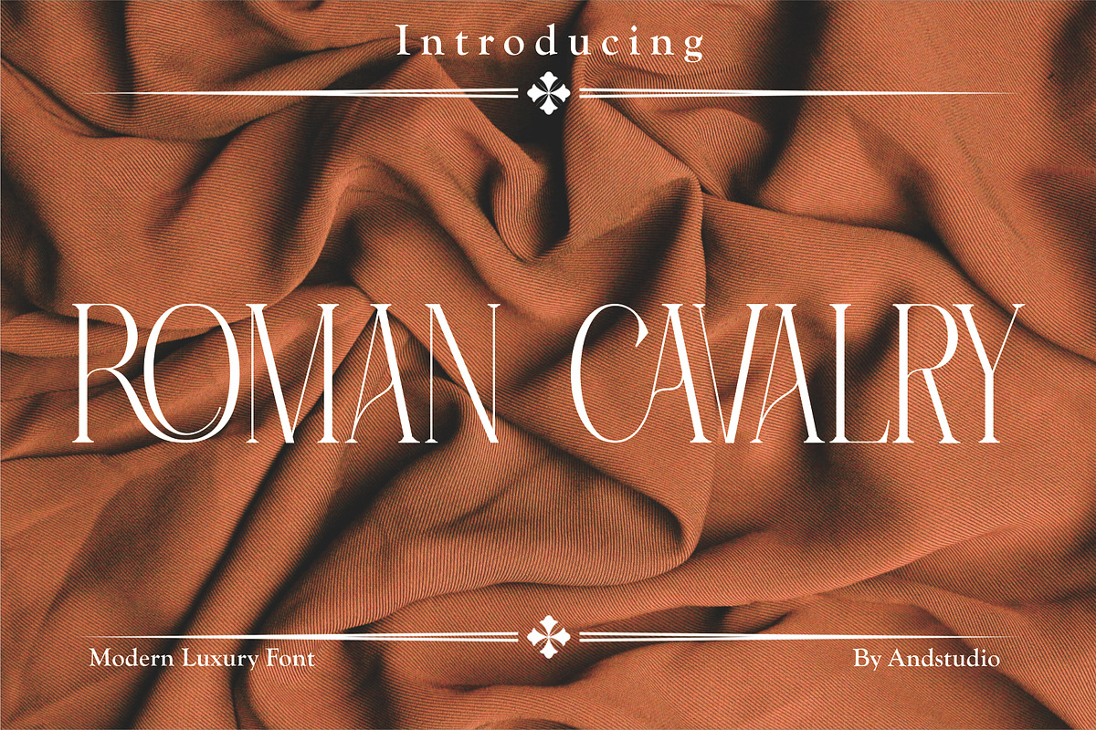 Roman Cavalry, a Serif Font by And Studio (Photo 1 of 14)